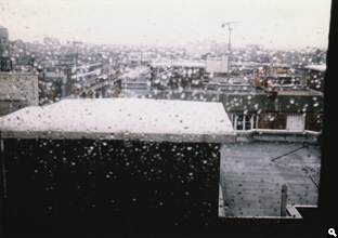 p 31
