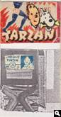 Typon 26