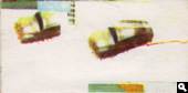 Typon 61